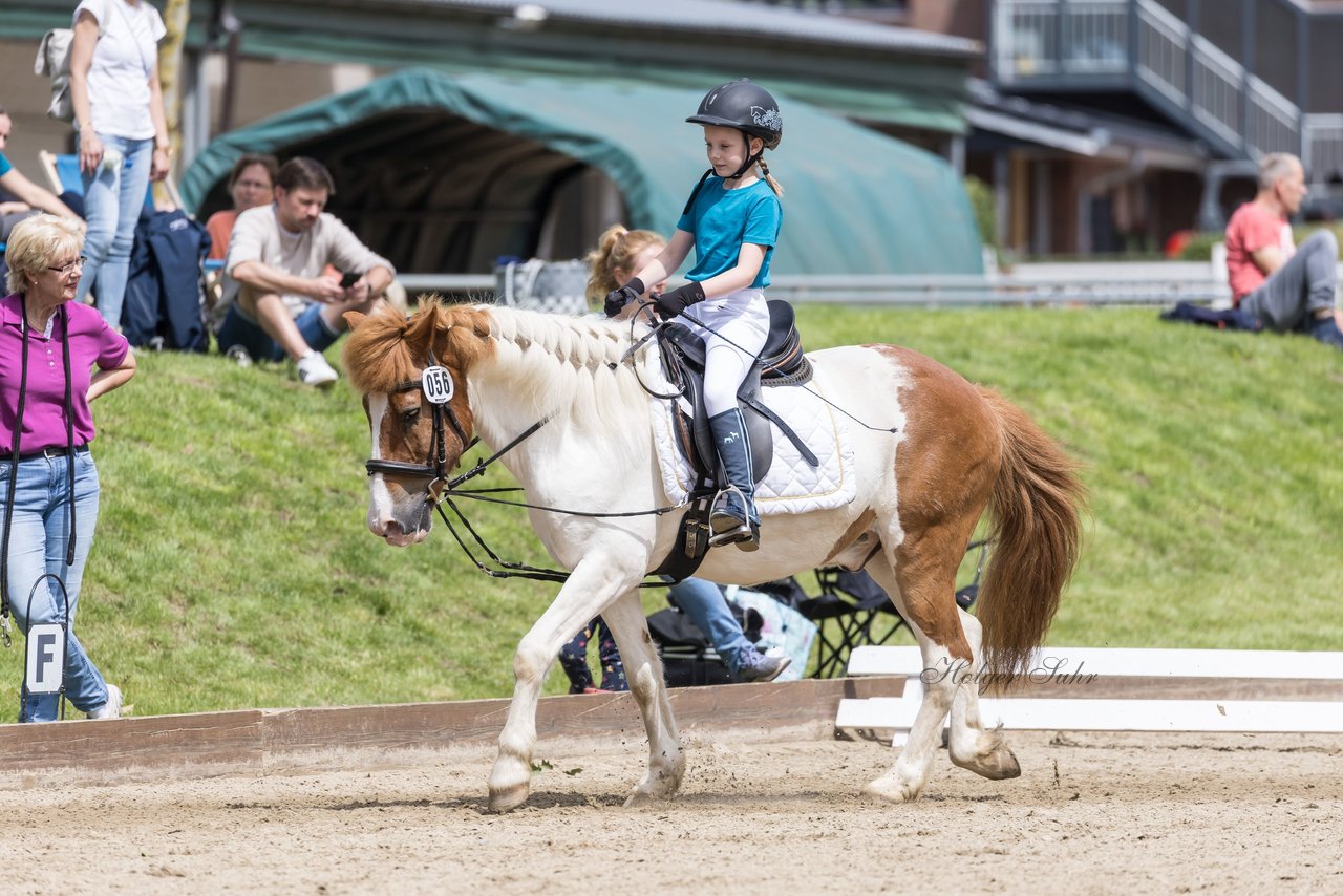 Bild 86 - Pony Akademie Turnier